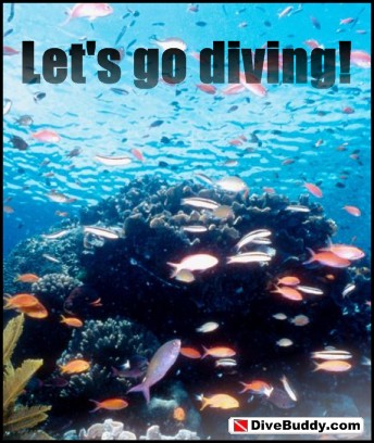 DiveBuddy.com