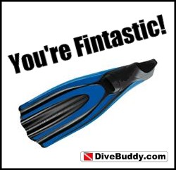 DiveBuddy.com