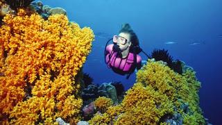 Scuba Diving Is A Wonderful Sport: Just Eliminate The Risks