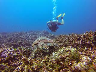 The first Thailand Divemaster Course of the season...