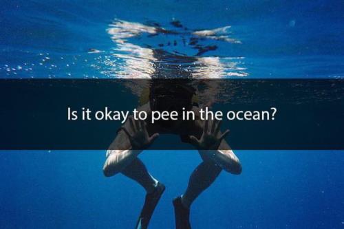 Is it ok to pee in the ocean?