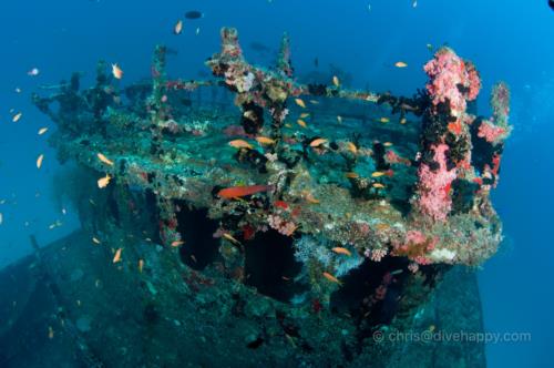 Kuda Giri Wreck, Maldives