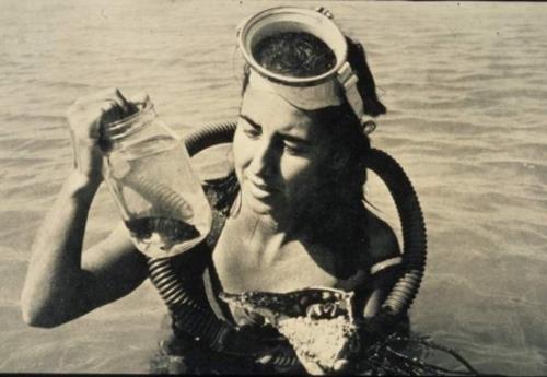 Amazing Women: The Shark Lady