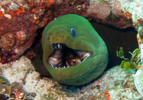 Fab Photos Friday: Cozumel!