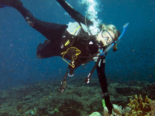 Diving Bliss in Komodo!