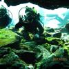 Lisa from Jacksonville FL | Scuba Diver