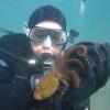 Santa Barbara Shore Dive Buddy Wanted 1/19