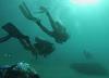 Kaytlyn from Honolulu HI | Scuba Diver