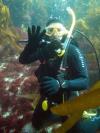 Sarah from Fairfield CA | Scuba Diver