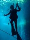 Ashley from Tampa FL | Scuba Diver