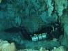 Cenote-Diving.com from Playa del carmen Q.Roo | Dive Center