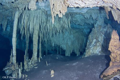 Cave Diving in Mexico