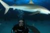 David from Vero Beach FL | Scuba Diver