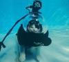 Aaron from Lake Odessa MI | Scuba Diver