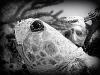 Dee from West palm beach FL | Scuba Diver