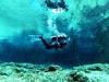 Amy from Melrose FL | Scuba Diver