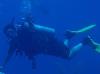 William from Gig Harbor WA | Scuba Diver