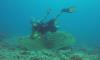 Dustin from Wittlich Rhineland-palatinate | Scuba Diver