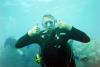 Ray from Manchester CT | Scuba Diver