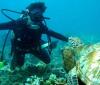 Joseph from Port Orange FL | Scuba Diver