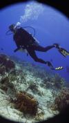 Rick from Dallas TX | Scuba Diver