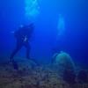 Bob from Brooksville FL | Scuba Diver