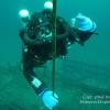 Ray from   | Scuba Diver