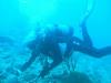 Linnie from Palm Beach FL | Scuba Diver