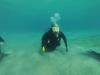 Michelle from Palm beach gardens FL | Scuba Diver