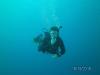 John from Bryn Mawr PA | Scuba Diver