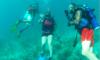 Christina from Palm Harbor FL | Scuba Diver