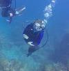 Haley from   | Scuba Diver