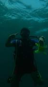 alejandro from Fort Lauderdale FL | Scuba Diver