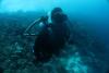 alejandro from Fort Lauderdale FL | Scuba Diver