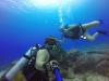 Chase from Saipan MP | Scuba Diver