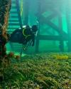 Damien from Adelaide SA | Scuba Diver