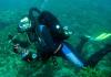 Winston from Highland Springs VA | Scuba Diver