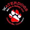 Waterdogs