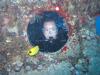 Tim from Manchester MD | Scuba Diver