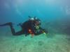 Chris from Powder Springs GA | Scuba Diver