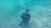 Rob from Navarre FL | Scuba Diver