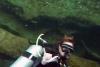 Liz from Saint Petersburg FL | Scuba Diver