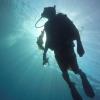 Robert from Phoenix AZ | Scuba Diver