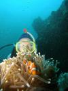 Anyone diving on St Martin/Maarten Aug 14 - 30?