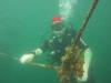 chris from   | Scuba Diver