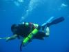 Tim from Malvern PA | Scuba Diver