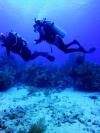 James from Jersey City NJ | Scuba Diver