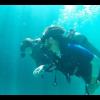 Lee from Oklahoma City OK | Dive Center