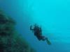 GordonDiver from   | Scuba Diver