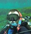 Joe from Kissimmee FL | Scuba Diver